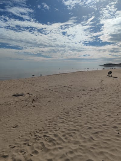 This is a medium-shot, eye-level, vertical, full-color photograph taken on a sandy beach in Motornoe, Russia. The scene depicts a tranquil coastal environment under a partly cloudy sky.
In the foreground, a wide expanse of light brown sand stretches across the image, marked by subtle ripples and footprints. Two prominent, dark gray, oval-shaped rocks are visible in the sand, one in the mid-left and another further back towards the water. A tic-tac-toe grid, drawn into the sand, occupies the central area of the foreground. To the right of the grid, a black circular object, possibly a weight or a buoy, rests on a thin metal stand, which is also black.
The midground shows the calm, still surface of a body of water, reflecting the sky. Several small, dark rocks are sparsely scattered in the shallow water near the shore. In the distance, the water meets a tree-lined shoreline, with a faint outline of land and vegetation visible against the horizon.
The background is dominated by a expansive sky filled with a mix of blue sky and white clouds. The clouds are varied, with some appearing wispy and stretched out, while others are more dense and textured. The overall lighting suggests it is daytime, with diffused sunlight illuminating the scene.
The photograph captures a serene and sparsely populated beach setting. No people are visible in the frame. The focus is on the natural elements of the beach, sand, water, and sky, with the sand drawing providing a subtle human element.