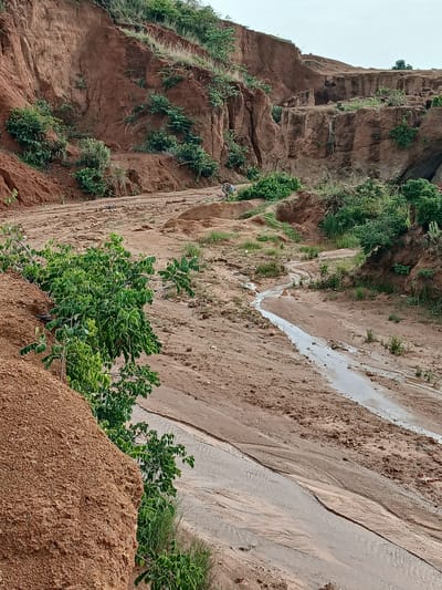 This image depicts a natural landscape in Delimi, Nigeria, characterized by eroded earth formations and a small water channel. The terrain consists of reddish-brown soil, indicative of lateritic soil common in the region. Steep, eroded cliffs dominate the background, with sparse green vegetation clinging to their sides and crests. In the foreground, a dry, dusty path or streambed snakes through the landscape, with a shallow, muddy watercourse visible in its center. The water appears to be flowing, carving a path through the sediment. Several green bushes and small trees are scattered throughout the scene, some growing from the edges of the eroded areas. A single individual, dressed in light-colored clothing and dark trousers, is visible in the mid-ground, appearing to be walking or standing near the path. They are relatively small in the frame, suggesting the vastness of the natural environment. The overall impression is one of a rural, possibly semi-arid environment undergoing significant natural erosion.