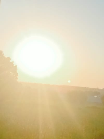 A bright, hazy sun is setting over a rural landscape. The sun is large and a pale yellow, with light rays emanating outwards. In the foreground, a silhouette of a tree is visible on the left side of the image. The middle ground shows a gentle slope covered in trees and some structures, possibly houses or farm buildings. The sky transitions from pale yellow to a light blue towards the top of the image. The overall impression is one of a serene, warm evening in a countryside setting. The location is a rural area in the city of Көлкент, Kazakhstan.