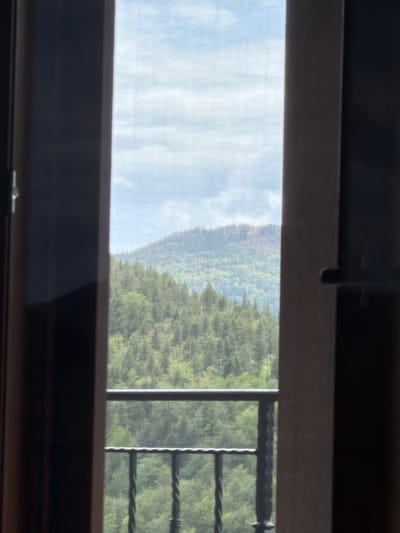 The image depicts an outdoor scene viewed through a window with a screen. Outside, there is a view of trees and a sky with clouds. A metal railing is also visible, partially obstructing the view of the trees. The location, Кирково, Bulgaria, cannot be confirmed solely from the image.
