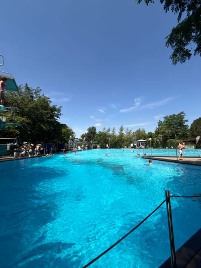 This image depicts a scene at the outdoor swimming pool in Rheinbach, Germany. The expansive pool is filled with bright turquoise water, reflecting the clear blue sky above. Several people are visible in and around the pool, enjoying a sunny day. Some are swimming, while others are gathered on the poolside or on a wooden deck. To the left of the frame, a diving platform with two levels is present, with a person standing on the upper platform. Lush green trees surround the pool area, with some foliage extending into the upper corners of the image. The overall atmosphere suggests a recreational setting on a warm, clear day.