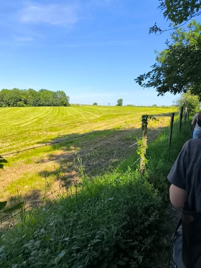 The image shows a rural scene likely near Chaponnay, France, given the prompt. A cut field of grass under a blue sky occupies the left side of the frame. A wooden fence line, overgrown with vegetation, runs from the middle ground toward the foreground on the right. Part of a person wearing a gray shirt and carrying a bag is visible on the right side of the image, suggesting they are walking along a path adjacent to the field. Trees are visible in the background, bordering the edge of the field. The lighting indicates a sunny day.