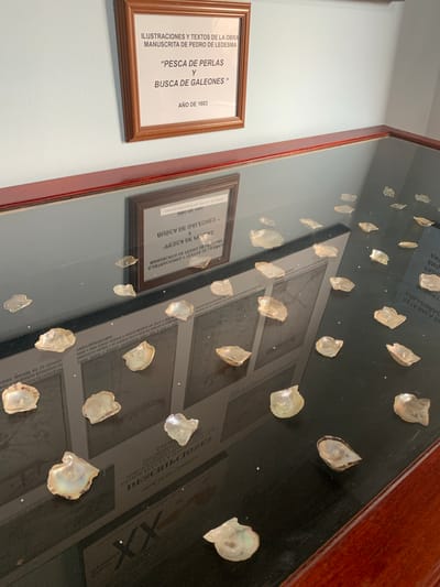 This is a close-up, eye-level shot of a museum display case in Boca del Río, Venezuela. The display case is filled with numerous mother-of-pearl shells, some with pearls still attached, scattered across a reflective black surface. The shells vary in size and shape, and some exhibit a pearlescent sheen. Behind the shells, a framed document is visible, displaying Spanish text and an illustration. The document is titled "ILUSTRACIONES Y TEXTOS DE LA OBRA MANUSCRITA DE PEDRO DE LEDESMA" and includes the phrases "PESCA DE PERLAS Y BUSCA DE GALEONES" and "AÑO DE 1603". The environment appears to be an indoor museum setting, with a pale blue wall visible in the background and a wooden trim around the display case. The lighting is soft, highlighting the iridescence of the shells.