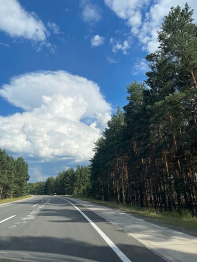 The image depicts a two-lane asphalt road cutting through a dense pine forest. The road has white lane markings. On the right side of the road, the pine trees are tall and closely spaced, with their trunks visible. On the left side, the forest is also dense, with a slightly less clear view of the individual trees. The sky is blue with large, fluffy white clouds. The overall impression is of a scenic drive through a rural, wooded area. No people or specific actions are visible. The location is identified as being in the city of Yaltsivka, Ukraine.