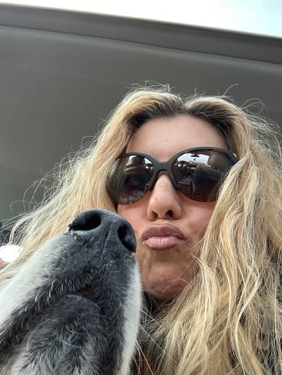 The image depicts a close-up scene from inside a vehicle in Basildon, United Kingdom. An adult female, with long blonde hair and dark, tortoise-shell framed sunglasses, occupies the right side of the frame. Her lips are visibly pursed in a kissing gesture. Positioned to her lower left, in close proximity to her face, is the grey and white snout of a dog, prominently featuring a black nose and upper lip. The upper background shows a light grey vehicle headliner. Reflections in the woman's sunglasses reveal elements of the vehicle's interior, including a rearview mirror and portions of the dashboard. No external landmarks or specific street features are discernible within the image to pinpoint a precise location within Basildon.