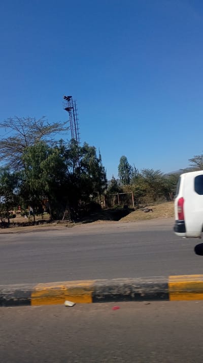 The image captures an outdoor scene on a clear, sunny day, likely taken from a moving vehicle. The perspective is looking towards the side of a road, with the horizon dominated by a bright, cloudless blue sky.

In the mid-ground, on the left side, a tall, slender metal lattice tower stands prominently, reaching high into the sky. At its apex, there's a small platform with some equipment, possibly lights or antennae, visible. Adjacent to the tower and extending across the middle of the frame are numerous trees and bushes, forming a dense green barrier in some areas. Some trees have darker, more robust foliage, while others, particularly towards the upper left, appear sparser with thin, light-colored branches.

Further to the right in the mid-ground, more arid-looking vegetation, including shorter bushes and trees, stretches towards a distant, hazy hillside or mountain range. A simple, rough-looking fence, possibly made of wooden posts and wire, is visible among the vegetation in this section. On the far right edge of the image, the rear section of a white vehicle, resembling an SUV or minivan, is partially visible. Its taillight and bumper are distinguishable, suggesting it is either moving alongside or is slightly ahead of the point from which the photo was taken.

The foreground of the image consists of a paved road surface, which appears slightly blurred, reinforcing the impression of movement. Running parallel to the road is a curb or median barrier, distinctly painted with alternating sections of bright yellow and black, a common road marking. Scattered on the road surface near this curb are small pieces of litter, including a white object and a reddish piece.

The overall impression is one of a bright, daytime scene in a semi-rural or semi-urban area, characterized by clear weather and a mix of natural vegetation and human infrastructure along a roadway.