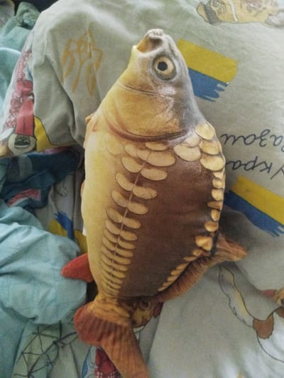A plush toy resembling a carp is positioned on a crumpled bedsheet with a light blue-green hue. The toy is predominantly yellow and brown, with darker brown markings simulating scales. Its head is facing upwards and to the left, with a single black eye visible. The plush toy's fins are reddish-brown. The bedsheet it rests on features a pattern that includes cartoonish figures, some resembling animals, and horizontal stripes of yellow and blue. To the left of the plush toy, the bedsheet appears to be light blue and textured. The scene is an indoor setting, likely a bedroom, and the image is taken from a top-down perspective. There is no indication of the specific location within Malooleksandrivka, Ukraine, as the image only shows the immediate surroundings of the object.