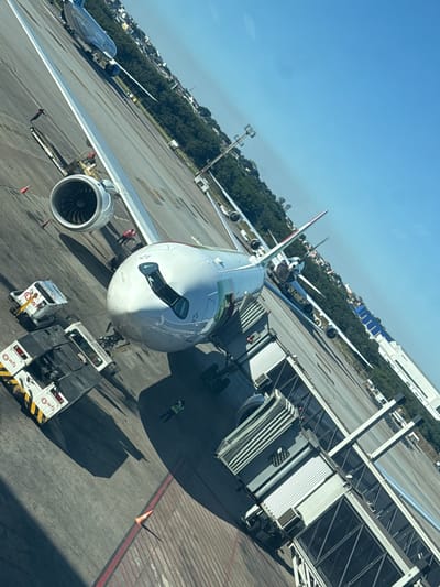 An aerial, slightly oblique view captures a busy airport apron under a clear blue sky, identified as São Paulo/Guarulhos International Airport (GRU) in Guarulhos, Brazil. In the foreground and center, a white passenger jet with a prominent turbofan engine on its left wing is parked at a gate. The aircraft features a green and red stripe along its fuselage and "CONCORDIA" in small black text above the cockpit windows.

A gray jet bridge extends from the terminal structure on the right and is connected to the aircraft's forward door. Ground support equipment, including two white pushback/tug vehicles bearing the "wfs" logo, are positioned near the plane's nose and wing. An orange traffic cone rests on the tarmac near the wing. Several airport ground crew personnel are present: one individual in a green high-visibility vest stands near the aircraft's nose, and two others in red vests are visible near the left wing and engine.

In the mid-ground, a blue United Airlines aircraft is visible on the tarmac, and the tail of another white aircraft can be seen further back. The background features a dense line of green trees, beyond which residential and light industrial buildings are present. The strong sunlight casts distinct shadows across the concrete and asphalt apron. Airport lighting poles are also visible in the distance.