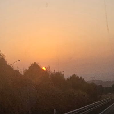 The image depicts a rural or semi-rural landscape at dusk or dawn. The sky is a gradient of pale orange and yellow, suggesting the setting or rising sun. A small, bright orange orb, likely the sun, is partially obscured by the dark silhouette of trees and foliage in the mid-ground. A single, curved lamppost is visible on the left side of the image, also silhouetted against the sky. In the foreground, there are what appear to be train tracks running diagonally from the bottom right corner towards the left. The overall impression is one of a quiet, natural setting. The location specified, Morata de Jalón, Spain, is a town in the province of Zaragoza, known for its vineyards and rural landscape, which aligns with the visual cues in the image. There are no people or animals visible in the scene.