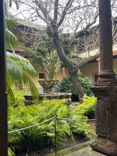 This media file captures a serene, verdant courtyard, likely part of a historic building in San Cristóbal De La Laguna, Spain. The perspective is from under a dark wooden beam, looking into the enclosed space.
The main subjects are a mix of lush vegetation and historic architecture. A prominent feature is a large, mature tree with an expansive network of bare, gnarled branches reaching towards a bright, overcast sky on the left. This deciduous tree contrasts with several vibrant green palm trees, including large-fronded varieties and smaller, sago-like palms, which are scattered throughout the courtyard. On the right, a dense bed of bright green ferns flourishes, adding a rich texture to the ground level. Partially visible within the foliage is a multi-tiered stone fountain, suggesting a central decorative element.
The courtyard is defined by sturdy, ornate stone pillars or columns, one of which is prominent in the upper right, displaying carved details. The building walls, visible through the trees and greenery, are a warm, light yellow or cream color, featuring windows with traditional wooden grilles or panes. A thin, silver-colored rod or wire extends diagonally through the ferns, possibly acting as a plant support.
The scene conveys a peaceful and tranquil atmosphere. The soft, diffused lighting indicates an overcast day, contributing to the serene mood. No human activity or visible text is present in the image. The architectural style, combined with the mix of foliage, strongly suggests a historical setting typical of Spanish or Mediterranean courtyards.