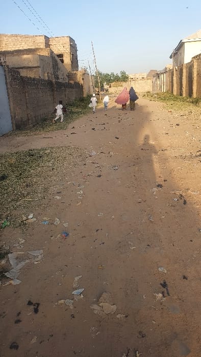 This image captures an unpaved dirt road in Danbare, Nigeria. The road surface is uneven and extensively littered with fragments of plastic, paper, and dry organic debris. Five individuals are visible, moving away from the camera. In the foreground-left, a young individual in a light-colored garment runs towards the left side of the frame. Further down the road, two younger individuals, also in white garments, walk in the same direction. Behind them, two adults, dressed in traditional garments, walk away from the viewer; one wears a prominent pink head covering, and the other a darker, possibly blue, head covering. The road is bordered on both sides by low, unfinished block-and-mortar walls and structures, some appearing derelict or under construction. Patches of green vegetation grow along the roadside, particularly on the left. Overhead, multiple thin utility wires traverse the upper-left sky, connected to a tall, slender pole positioned centrally on the left side of the road. A distinct, elongated human shadow, attributed to the photographer, extends from the immediate foreground across the road's surface, indicating a low sun angle.