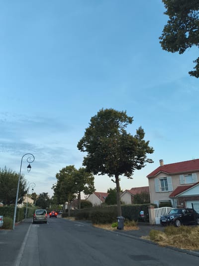 The image depicts a residential street in Carrières-sous-Poissy, France, under a clear, pale blue sky with a few wispy clouds. On the right side of the street, a two-story house with a red tiled roof and light-colored walls is visible, featuring white shutters on its windows. A black Mini Cooper is parked in the driveway in front of the house, which has a white metal gate. To the left of the house, a grey garbage bin stands on a patch of dry grass.
The street itself is paved, with a sidewalk bordering it on the left. A decorative lamppost with a spiral arm and a lantern is positioned on the sidewalk. Several cars are present on the street: a silver minivan is parked on the left side, and further down the road, two cars, one red and one dark, are driving away from the viewer. The street is lined with lush green trees and hedges. In the background, more houses and trees are visible, suggesting a suburban environment. The overall lighting indicates it is likely late afternoon or early evening.