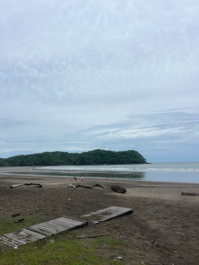 The image shows a beach in Las Escobas del Venado, Panama, located at latitude 7.43 and longitude -80.188. The beach is sandy and stretches out to a calm ocean. A few people are seen in the distance on the beach and in the water. In the foreground, there are two wooden walkways and driftwood. The sky is overcast with gray clouds. The beach is bordered by a line of lush, green trees.