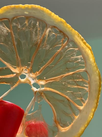 This is a close-up, macro photograph of a translucent lemon slice. The slice is illuminated from behind, revealing its delicate internal structure, including segments and pith. Small water droplets are visible within the pulp. The outer rind is a bright yellow with a slightly irregular texture. Two red objects, one spherical and the other rectangular with rounded edges, are partially visible in the background, obscuring parts of the lemon slice. The background is a muted, solid teal color. The lighting creates a slightly dramatic effect, highlighting the textures and translucency of the fruit. There is no discernible time of day, weather, or location cues beyond what is described about the subjects. There is no visible text in the image.