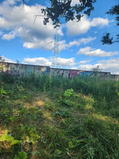 This is a vertical, eye-level, outdoor, daytime photograph taken in Yudino, Russia. The scene features a concrete barrier wall covered in graffiti, juxtaposed with a lush green field of grass and vegetation on the right. Behind the wall, a large metal electricity pylon with wires is visible against a bright blue sky filled with fluffy white clouds.
The graffiti on the wall is colorful and varied, with some tags and larger designs in pink, blue, green, and black. The grass in the field is tall and unkempt, with some areas catching the sunlight. The electricity pylon is a prominent object, suggesting the proximity of power infrastructure to this natural and urban boundary.
The time of day appears to be late morning or early afternoon, given the bright sunlight illuminating the grass and the clear blue sky. The weather seems pleasant and sunny. The overall atmosphere is one of urban encroachment on a natural space, with the graffiti and pylon indicating human presence and activity. There are no people visible in the image. There are no discernible emotions conveyed.
Visible text on the wall includes what appears to be Cyrillic script, though it is difficult to read clearly in the image. Some phrases that can be partially deciphered include "С чем," "роща," and "Нитто".