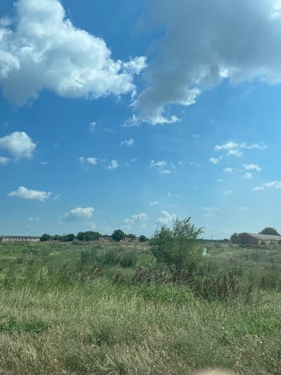 This media file captures a landscape scene with a clear blue sky filled with scattered white clouds on the left, transitioning to a grassy field on the right. The field is covered in tall green grass, interspersed with dry brown stalks and small blue flowers, suggesting a natural, uncultivated area. A line of trees and buildings, possibly an abandoned village or rural settlement, runs along the horizon separating the sky and the field. The buildings appear to be brick structures, some with visible windows, and they are partially obscured by trees. The overall impression is one of a somewhat neglected rural environment under a bright, possibly midday, sky. There are no people or active events depicted. The weather appears to be clear and fair. The location cues suggest a rural setting in Proletarskii, Russia, with the vegetation and architecture being consistent with this region. No text is visible in the image.