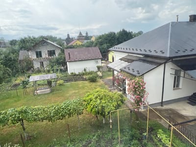 The image depicts a view of a residential area with multiple houses and a garden, likely in the city of Drohobych, Ukraine, based on the provided information. The scene is captured from an elevated perspective, looking over a green lawn, a vine-covered trellis, and a small swing set structure.
In the foreground, a dense green vine grows along a wire trellis. Beyond this, a grassy lawn stretches out, with a small swing set situated in the middle. A white and brown dog is visible on the ground near the swing set. Further into the yard, there are several trees, including a large leafy tree with its trunk supported by an A-frame structure. A variety of other vegetation and plants are scattered throughout the garden.
Several buildings are visible in the midground and background. To the left, a multi-story house constructed from light-colored bricks is partially visible. In the center, a white house with a brown metal roof has an outdoor air conditioning unit mounted on its side. To the right, a larger white house with a dark metal roof is prominent. This house features a covered patio area with transparent roofing and a white wall adorned with a vibrant pink rose bush. The house also has an external air conditioning unit and a set of dark stairs leading to an entrance.
In the background, the rooftops of other buildings can be seen interspersed with trees. The sky is overcast with a dramatic cloud formation. The overall impression is of a somewhat rural or suburban setting within a town.