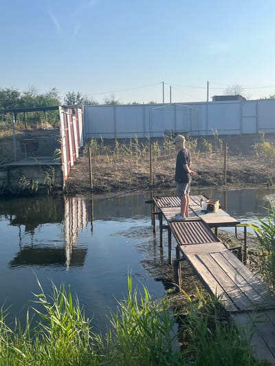 A young male, wearing a cap, dark t-shirt, and patterned shorts, stands on a wooden pier fishing in a pond. He is facing away from the camera, looking towards the water. The pier is made of weathered wood and metal grating, supported by rusty metal poles. On the pier, next to the male, is a small tackle box and a water bottle. The pond water is dark and reflects the sky and surrounding structures. The background features a white metal fence, some vegetation, and a building with red and white siding. Tall green grass grows along the edge of the pond in the foreground. The sky is clear and blue. The scene appears to be in a rural or semi-rural setting.
