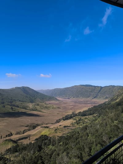 This is a wide, landscape photograph of a vast, open caldera with rolling hills and mountains under a clear blue sky. The foreground features a dark railing, partially obscuring a dense area of green trees and vegetation that cascades down a slope. Beyond this, the caldera floor is visible, a wide expanse of dry, golden-brown grass with subtle undulations and pathways. In the middle ground and background, large, rounded, tree-covered hills rise, their slopes textured with shadow and light. The sky is a vibrant, cloudless blue, with a few wispy white clouds towards the left side. The overall impression is one of natural grandeur and openness. This scene depicts the caldera of Mount Bromo, located near the village of Ngadas in East Java, Indonesia, known for its starkly beautiful, volcanic landscape.