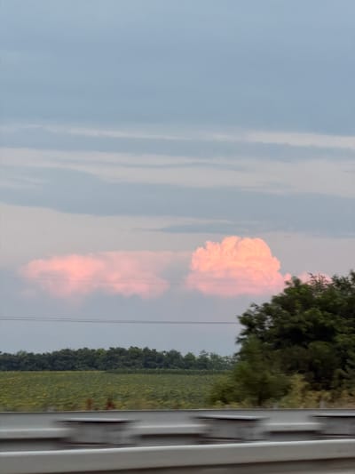 This photograph, taken from a moving vehicle, captures a rural landscape at dusk. In the foreground, a blurred concrete barrier suggests a highway. Beyond the barrier, a vast field of sunflowers stretches towards a dense line of trees that forms the horizon. Above the trees, the sky is a soft gradient of pale blue and grey, with streaks of pink light illuminating a cluster of fluffy clouds. The overall impression is one of tranquility and the beauty of nature at twilight. The location of Vrbas Municipality, Serbia, is a plausible setting for such a scene, given its agricultural character and open spaces.