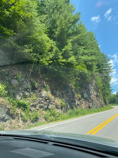 The image displays a view from inside a vehicle looking out at a winding road bordered by a steep, rocky embankment covered in lush green foliage. Tall pine trees and other deciduous trees create a dense canopy overhead, with a bright blue sky and scattered white clouds visible above. The road is asphalt with yellow double lines indicating its center. The embankment shows signs of erosion and is dotted with various types of vegetation, including vines and shrubs. The scene appears to be set in a natural, rural or mountainous area, likely during the daytime. There are no people or specific man-made structures visible other than the road and the vehicle's dashboard in the foreground. The general aesthetic suggests a scenic drive through a wooded region.