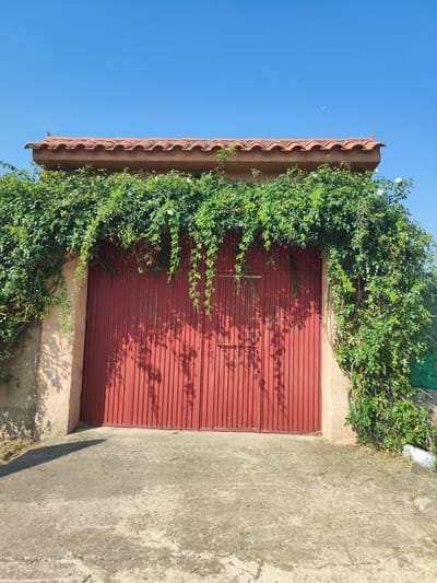 In Cadalso, Spain, a bright red double garage door is the central focus, framed by lush green foliage. The door, made of vertical wooden planks, has a horizontal metal bar across its center, suggesting a locking mechanism. The garage is topped with a terracotta tile roof. Vines cascade over the top of the door and down the sides, with some white flowers visible among the leaves. To the left of the door, a textured, beige-colored wall is visible, and to the right, a glimpse of a green fence and a white object, possibly a planter or pipe, can be seen. The ground in front of the garage is a concrete surface with some scattered debris and dried grass. Above, a clear blue sky stretches across the frame, with a sliver of the moon visible near the top right corner. The overall scene depicts an outdoor setting, likely a residential or storage area, under bright daylight.