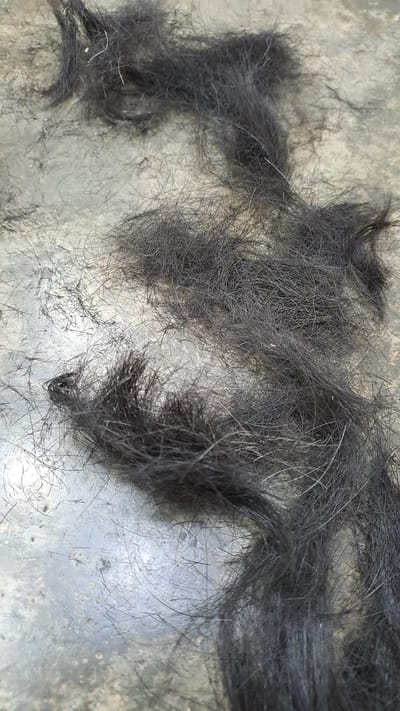 The image shows a pile of dark hair, appearing to be cut or fallen, scattered on a textured, concrete-like surface. The hair is a mix of longer strands and shorter, finer pieces, creating a somewhat messy and organic arrangement. The surface beneath the hair has a dull, greyish-beige color with visible pores and subtle variations in tone, suggesting it is an outdoor or industrial setting. There are no people or other objects clearly visible in the frame, with the focus solely on the collected hair and the ground. The lighting appears natural, casting soft shadows and highlighting the textures of both the hair and the surface. The context of the location, Kruengjuli Timu, Indonesia, is not visually represented in the image itself, but the scene suggests a location where hair might be disposed of or collected, such as a barber shop's outdoor area or a public space after a haircut.