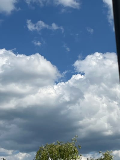 The image shows a view of the sky above the city of Prigorodny, Russia. The sky is a deep blue, with a mix of white and dark grey clouds. The white clouds are fluffy and scattered, while the grey clouds are dense and appear to be heavier, suggesting the possibility of rain. In the foreground, the tops of trees with green leaves are visible. The overall impression is of a dynamic sky on a day that could be transitioning from fair weather to a storm.