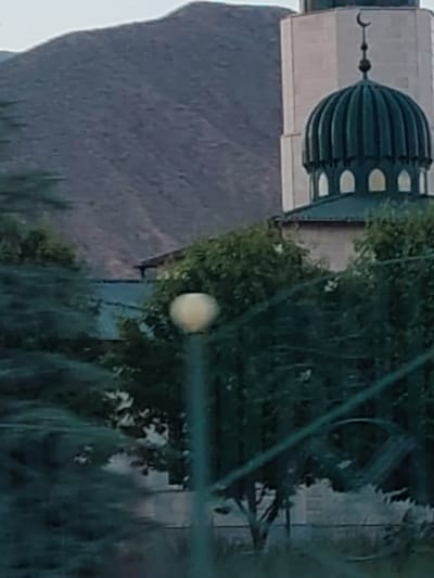 This media file depicts a mosque situated in a natural setting, with a mountain range in the background. The mosque features a prominent, dark green dome topped with a crescent moon and star, a common symbol in Islamic architecture. A tall, light-colored minaret stands adjacent to the dome. The surrounding environment is lush with trees, some of which are in the foreground, creating a sense of depth. A streetlamp with a spherical light fixture is visible in the middle ground, suggesting an urban or semi-urban environment. The overall impression is of a serene landscape, likely at dusk or dawn, given the soft lighting and muted colors of the mountain. There is no discernible activity or people in the frame, focusing the attention solely on the architectural structure and its natural surroundings. The image appears to be a photograph taken from a slightly elevated perspective, possibly from a moving vehicle or a nearby hill. The crops provided highlight the details of the mosque's dome and crescent, as well as the texture of the mountain. No visible text is present in the image.