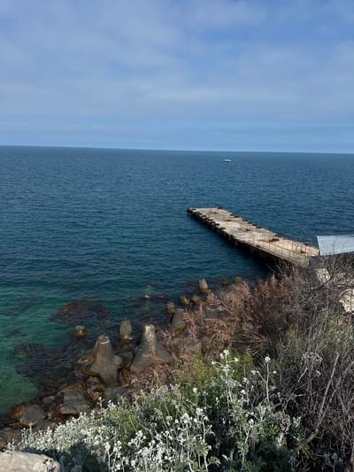 The image shows a coastal scene, likely taken in or near Гаспринский поселковый совет, Ukraine. The main feature is a dilapidated concrete pier or breakwater extending into the deep blue sea. The pier is weathered and shows signs of decay. A small boat or ship is visible in the distance. The coastline is rugged with large concrete tetrapods acting as wave breakers. Vegetation, including trees and bushes with white flowers, grows along the shoreline. The water near the shore is clear and turquoise in color, revealing rocks and the seabed.