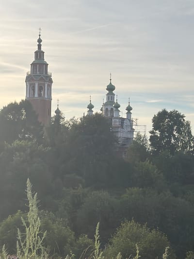 This image shows the bell tower and domes of the Church of the Assumption of the Blessed Virgin Mary in Cherdyn, Russia. The bell tower is tall and red with a green roof and a cross at the top. The domes of the church are green and bulbous, and some of them are surrounded by scaffolding, suggesting renovation work. The buildings are situated on a wooded hill, with lush green trees and foliage surrounding them. In the foreground, there are tall, pale green plants. The sky is overcast with thin, wispy clouds.