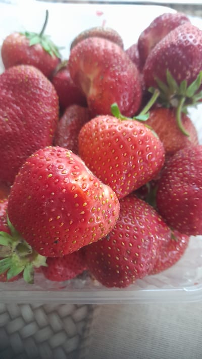 A close-up, overhead shot captures a clear plastic container overflowing with fresh strawberries. The strawberries are a vibrant red, with visible seeds and green stems. Some strawberries are perfectly formed, while others have a slightly irregular shape. The container itself is partially visible at the bottom of the frame, resting on a textured surface. The background is blurred, suggesting a shallow depth of field, and the lighting is bright and natural. The image does not contain any information about the location of Bagayevskaya, Russia.