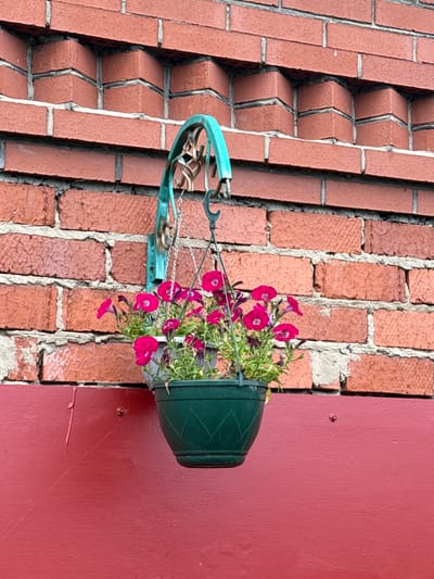 A hanging planter filled with vibrant pink petunias is suspended from a teal metal bracket attached to a textured red brick wall. The brickwork exhibits a patterned design where bricks are staggered to create an angular, recessed effect. Below the brick wall, a flat, smooth red surface extends horizontally, possibly a painted wooden panel or railing. The lighting suggests an outdoor setting, likely during daylight hours. The scene appears to be located in a residential or commercial area, though no people are visible.