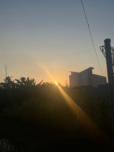 This image depicts a sunrise in Bandungrejo, Indonesia. The sun, partially obscured by trees and foliage, casts golden rays across the scene. In the background, a modern building with a distinctive angled roof stands silhouetted against the pale sky. A utility pole and wire are visible in the foreground on the right. The lower portion of the image shows dense green vegetation, likely crops, with some darker areas suggesting water or shadows. A single bird is visible in the sky on the left. The overall impression is one of a rural or semi-urban landscape at the beginning of the day.
