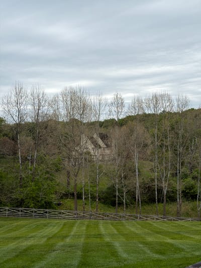 The image depicts a scene in Potomac, United States of America. A grassy lawn, mowed with light and dark stripes, takes up the right side of the frame. Adjacent to the lawn is a wooden fence, running vertically. Behind the fence are bare trees, beyond which lies a wooded area with a partially visible building nestled among the trees. Above the trees, a cloudy sky fills the left side of the image.