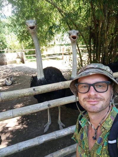A medium shot photograph taken outdoors in Khánh Vĩnh, Vietnam, shows a man with fair skin, brown stubble, and a camouflage hat with glasses, smiling at the camera. He is wearing a brightly colored green and yellow patterned shirt and a backpack. Behind him, two ostriches with black feathers and long necks are visible, standing behind a bamboo fence. The ostriches appear to be in an enclosure, with sandy ground, scattered shadows, and a concrete trough in the background. Lush green trees and bamboo stalks form a natural backdrop to the scene. The lighting suggests it is daytime, with sunlight filtering through the foliage.