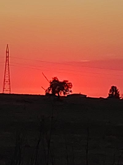 This is a photograph of a sunset in Valverde de Leganés, Spain. The sky is a gradient of orange and pink, with a bright red band near the horizon. In the foreground, silhouetted against the colorful sky, is a dark landscape of rolling hills. On the left side of the image, a tall, lattice-like power pylon stands prominently. In the middle ground, there are several silhouetted trees, their branches reaching out like skeletal fingers. One tree in the center is particularly striking, with a gnarled and twisted form. Further to the right, another smaller tree is visible. The overall mood of the image is serene and dramatic, capturing the intense beauty of a sunset in a rural landscape. The time of day is clearly sunset, and the weather appears clear. There is no visible text in the image.