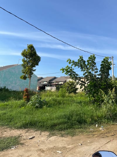 The image depicts an outdoor scene with a clear blue sky and scattered white clouds. In the foreground, there is a dirt path with some scattered debris, including a gray, elongated object that could be a piece of plastic or driftwood. To the left of the path, a patch of vibrant green grass grows. Further back, more grass and various types of vegetation are visible.
Dominating the mid-ground is a pale blue, rectangular building with a gray roof. To the left of this building, a tall, slender tree with lush green foliage stands prominently. Next to it, a smaller plant with bright red leaves adds a splash of color. Beyond the blue building, a row of houses with gray roofs stretches across the scene, suggesting a residential area. Some of these houses appear to be under construction or have unfinished elements.
In the right mid-ground, several trees with dense green leaves are present, some reaching towards a power line that stretches diagonally across the upper portion of the image. A utility pole with a light fixture is also visible. The overall environment suggests a partly developed area, possibly on the outskirts of a city or town, with a mix of natural vegetation and residential structures. The presence of the power line and houses indicates a human-inhabited area, possibly the city of Landuh, Indonesia, based on the prompt's context. The scene is bathed in bright sunlight, casting shadows and highlighting the textures of the ground and foliage.