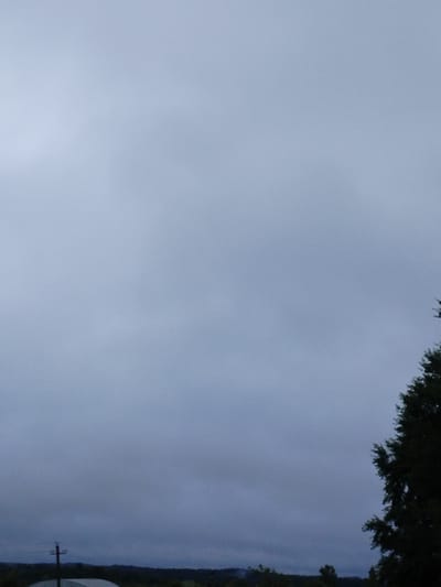 The image depicts an overcast sky with a faint, hazy horizon. In the foreground, the silhouette of a dark green coniferous tree is visible on the right side of the frame. To the left, a utility pole with wires is partially visible against the dim sky. The landscape below the horizon appears dark and indistinct, suggesting a natural or rural setting. The overall atmosphere is somber and muted, likely due to the cloudy weather. The location is identified as Varonitski Sel'ski Savet, Belarus.
