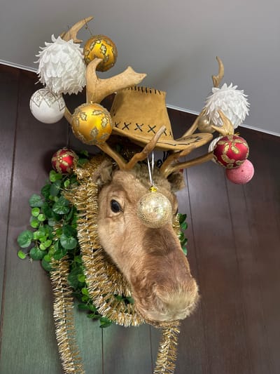 This is a close-up, eye-level shot of a taxidermied deer head adorned with Christmas decorations, mounted on a wooden wall. The deer has antlers, a tan suede cowboy hat perched on its head, and is decorated with gold and red ornaments, white fluffy ornaments, green faux foliage, and gold tinsel. The scene is illuminated with bright, overhead lighting, casting subtle shadows. The image composition focuses on the deer's head and the decorations, with the background of a dark wooden paneled wall. There is no visible indication of the city of Bolotnitsa, Russia.