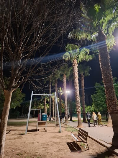 The image depicts a nighttime scene in Xirivella, Spain, likely in a park or public area. A row of palm trees lines a pedestrian walkway illuminated by streetlights, creating bright shafts of light through the foliage. In the background, several people are walking along the path. To the right, a park bench casts a shadow on the dirt ground. In the foreground, bare tree branches form a dense network against the dark sky. The image includes what appear to be semi-permanent structures, potentially for events, and portable toilet units.
