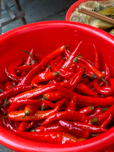 The image displays a close-up, overhead view of a bright red bowl filled with numerous red chili peppers. The peppers are of varying lengths and shapes, with some appearing smoother and others slightly more wrinkled. They are clustered tightly together, with their pointed ends facing in various directions and their green stems occasionally visible. The bowl itself is a vibrant red, creating a strong contrast with the red of the peppers, though some peppers also display orangish hues.

To the left of the bowl of chili peppers, another red bowl is partially visible. This bowl contains pickled vegetables, which appear to be light green or yellowish and are arranged with wooden chopsticks resting on top. The pickled vegetables are layered and seem to have a somewhat fleshy texture.

The background consists of a dark, textured surface, possibly a tabletop or ground, with some hints of a wooden structure on the lower left side. The lighting suggests it could be daytime, with the light illuminating the glossy surfaces of the chili peppers.

The scene appears to be a market stall or a kitchen preparation area in Chongzhou City, China, given the context provided. The focus on fresh ingredients like chili peppers and pickled vegetables suggests a culinary setting. There is no visible text in the image. The overall impression is one of abundance and freshness of produce.