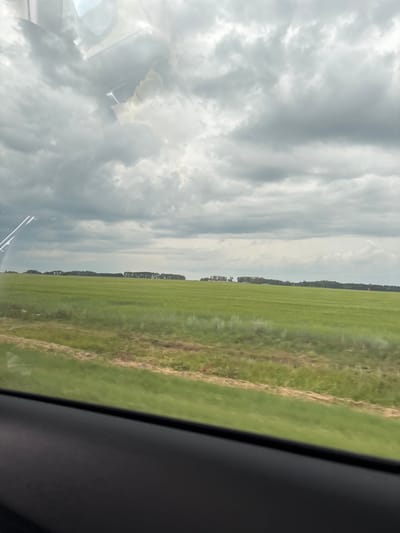 The image displays a landscape scene taken from inside a vehicle, likely in the city of Shagaban', Russia. The foreground shows a dark, matte car interior, specifically the dashboard area, partially obscuring the view. Beyond the car's interior, a vibrant green field stretches horizontally across the frame. A thin, light-colored stripe, possibly a road or a pathway, runs through the field, separated by dry grass. In the distance, a line of trees forms a dark, dense border against the horizon. Above the trees, the sky is filled with heavy, gray clouds, suggesting an overcast or stormy weather condition. The overall scene captures a rural or semi-rural environment under a dramatic sky.