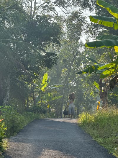 A person walks down a paved road lined with lush green vegetation and trees. The person is carrying a basket on their head and a dark bag in their right hand. The scene is illuminated by the sun, casting long shadows across the road. The location is identified as Alian, Indonesia.