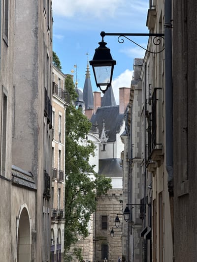 This is a full-frame, eye-level, vertical shot of a narrow street in Nantes, France, featuring architecture from different eras. The street is flanked by tall buildings on both sides, with a visible arched entryway on the left. On the right, several vintage-style street lamps are attached to the building facades. In the background, historical structures with spires and mansard roofs, characteristic of Nantes' architectural heritage, are visible beneath a partly cloudy blue sky. A large tree with dense foliage is situated on the left side of the background, partially obscuring the view of the buildings. The scene is tranquil, with no active human interaction visible.