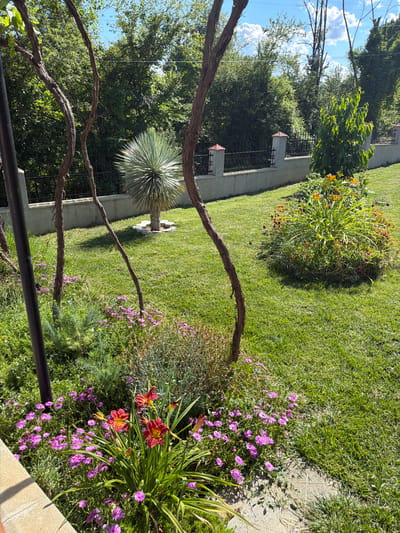 This image depicts a sunny outdoor scene in the city of Chavei, Bulgaria. The foreground features a well-maintained garden with lush green grass. Several plants are visible, including a cluster of vibrant red lilies in the lower left, surrounded by small purple flowers. To the right, a bed of orange lilies is in bloom. In the middle ground, a yucca plant stands centrally, with a low concrete wall and a black metal fence behind it, delineating the property line. Beyond the fence, mature trees form a dense green backdrop, with a blue sky and scattered white clouds visible above. The scene suggests a peaceful residential or public garden environment. There are no people or animals present in the image.