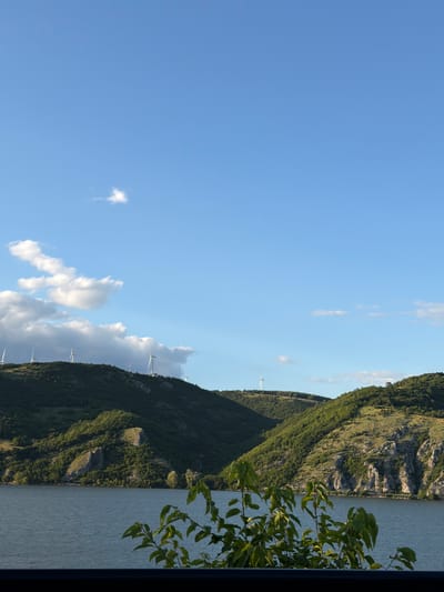 The image depicts a scenic view of the Danube River in the vicinity of Golubac Fortress, located in the Golubac Municipality of Serbia. The foreground features the calm, dark blue water of the river, with lush green foliage in the bottom right corner obscuring a portion of the view. Beyond the river, a series of rolling, tree-covered hills rise steeply. Several wind turbines are visible dotted along the crests of these hills, indicating a wind farm. The sky is a clear, bright blue with a few scattered white clouds. The overall impression is one of natural beauty and renewable energy infrastructure.