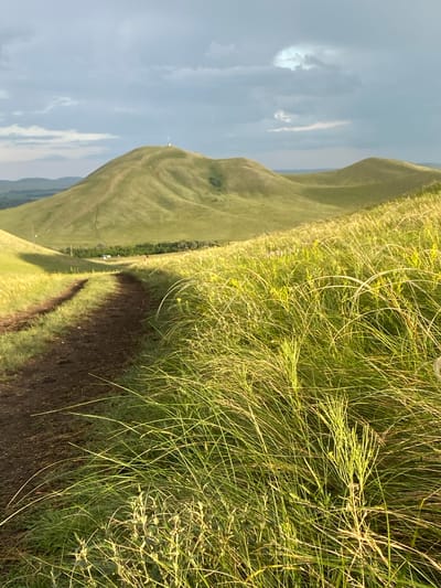A dirt path winds through a grassy hillside towards rolling green hills under a cloudy sky. In the distance, a large, rounded hill is topped with a single, bright white structure, possibly a beacon or antenna. The foreground is dominated by tall, wispy green grass, some of which is illuminated by sunlight. In the middle ground, a small cluster of buildings and trees is visible in a valley. The overall impression is a natural landscape bathed in soft, diffused light. The location is the city of Donskoe, Russia.