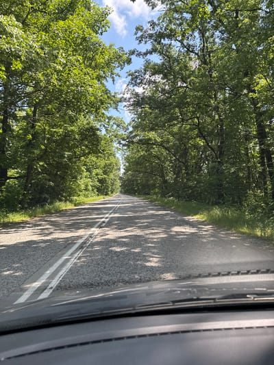 The image depicts a road scene viewed from inside a vehicle, likely a car, given the presence of a car window frame on the right. The road has a double white line marking and is flanked on both sides by trees, creating a canopy effect. The environment appears lush with greenery, suggesting a rural or forested location. The scene appears to be illuminated by sunlight filtering through the trees, casting shadows on the road. Based on the location given (Mramoren, Bulgaria), this could be a road located in the rural landscape surrounding the town, potentially a road in or near a park or forest area.