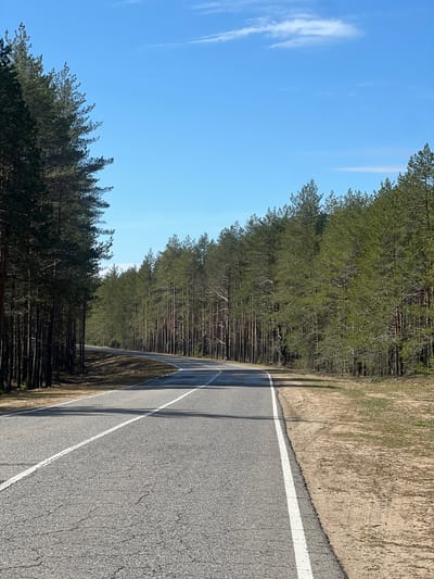 The image shows a paved road cutting through a forest landscape. A white line marks the edge of the road. The sky is blue with wispy clouds. The trees line both sides of the road. The road surface is asphalt. The right side of the road has a dirt shoulder. There are no people visible. The location is Чернышово, Russia.